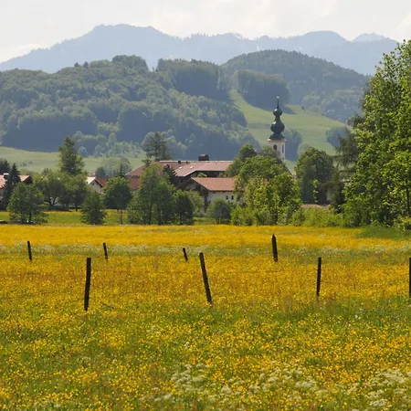 Im Alpengaestehaus Marzoll - Appartement Bad Reichenhall