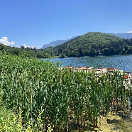 Im Alpengaestehaus Marzoll - Bad Reichenhall, Adults Only, Keine Haustiere شقة باد ريشنهول
