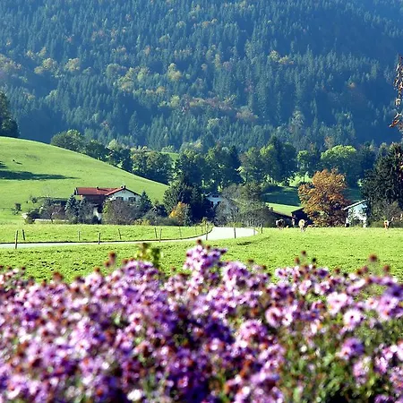 Apartment Im Alpengästehaus Marzoll - Bad Reichenhall, Adults Only, Keine Haustiere *